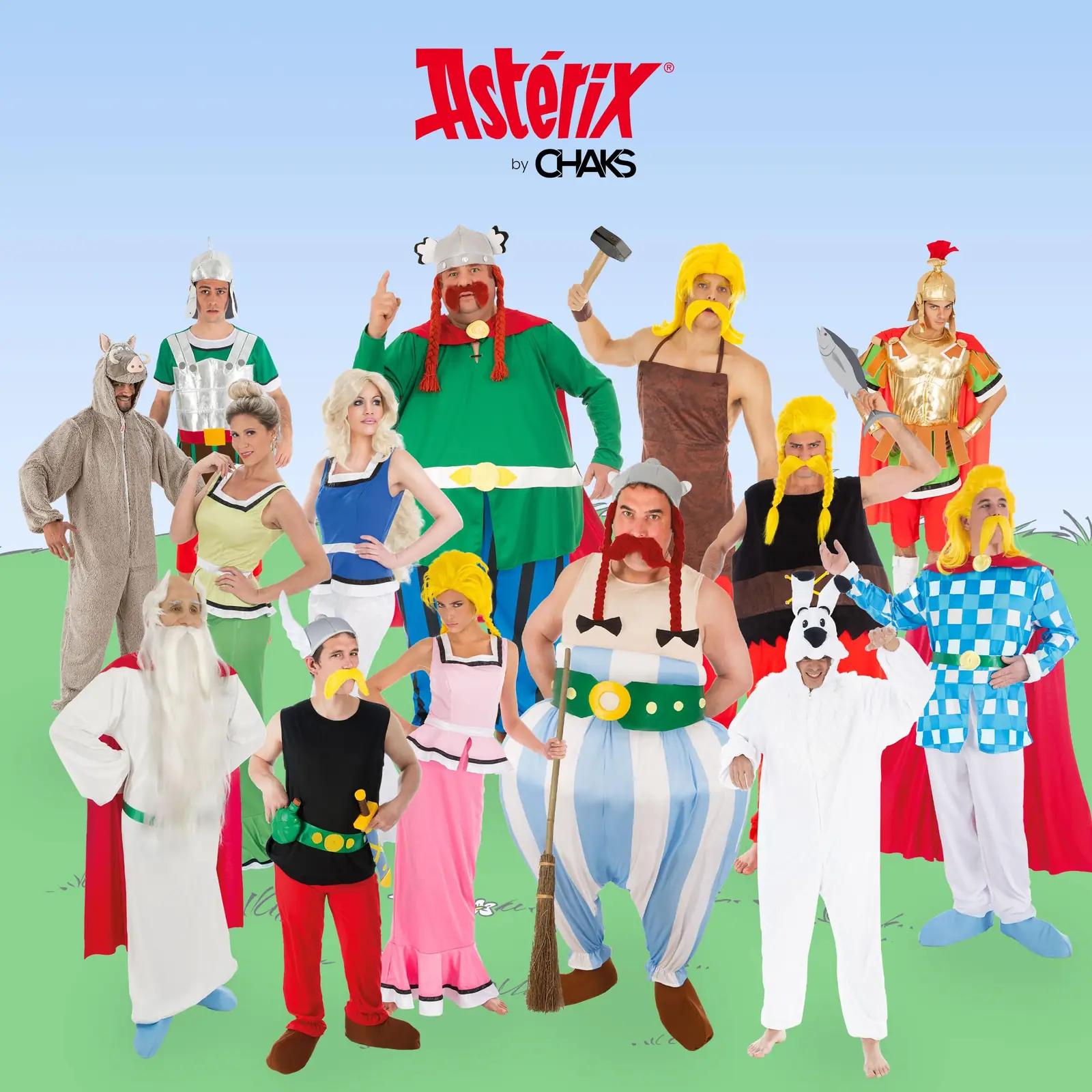 Chaks pehme Idefix-koera onesie karnevali ja kingitusena – kasutusnäide
