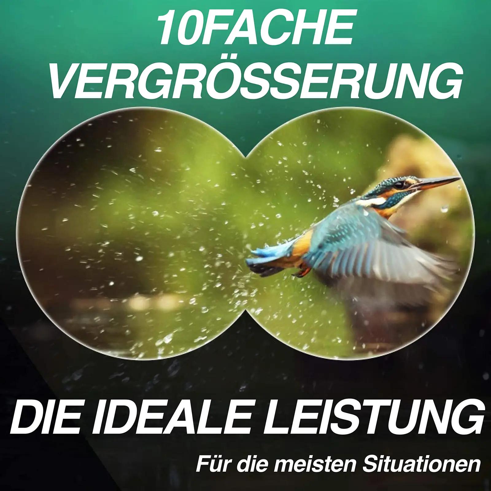 Slokey Discover The World 10×42 binokkel — kerge ja veekindel – pilt 7