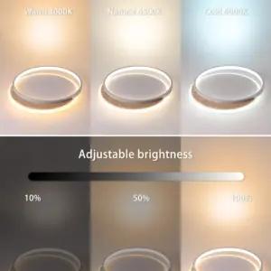 FANLG MD1835 LED-laelamp, 40 cm, 24 W, 3000–6000 K, pilt 2