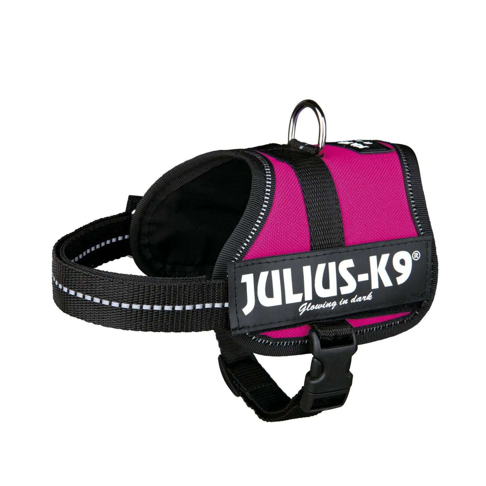 JULIUS K-9 tugev nailonist rakmed – mugav ja turvaline valik – pilt 8