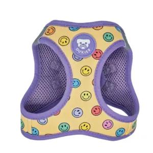 Dukier valjad – toote esivaade