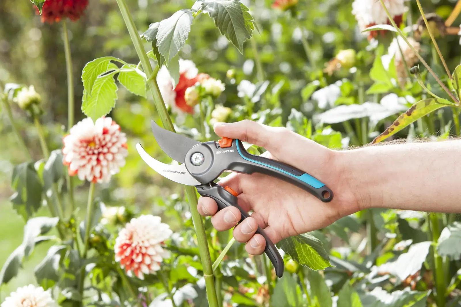 Gardena 08904-81.000.00 aiakäärid ja oksakäärid – detailne lähivaade