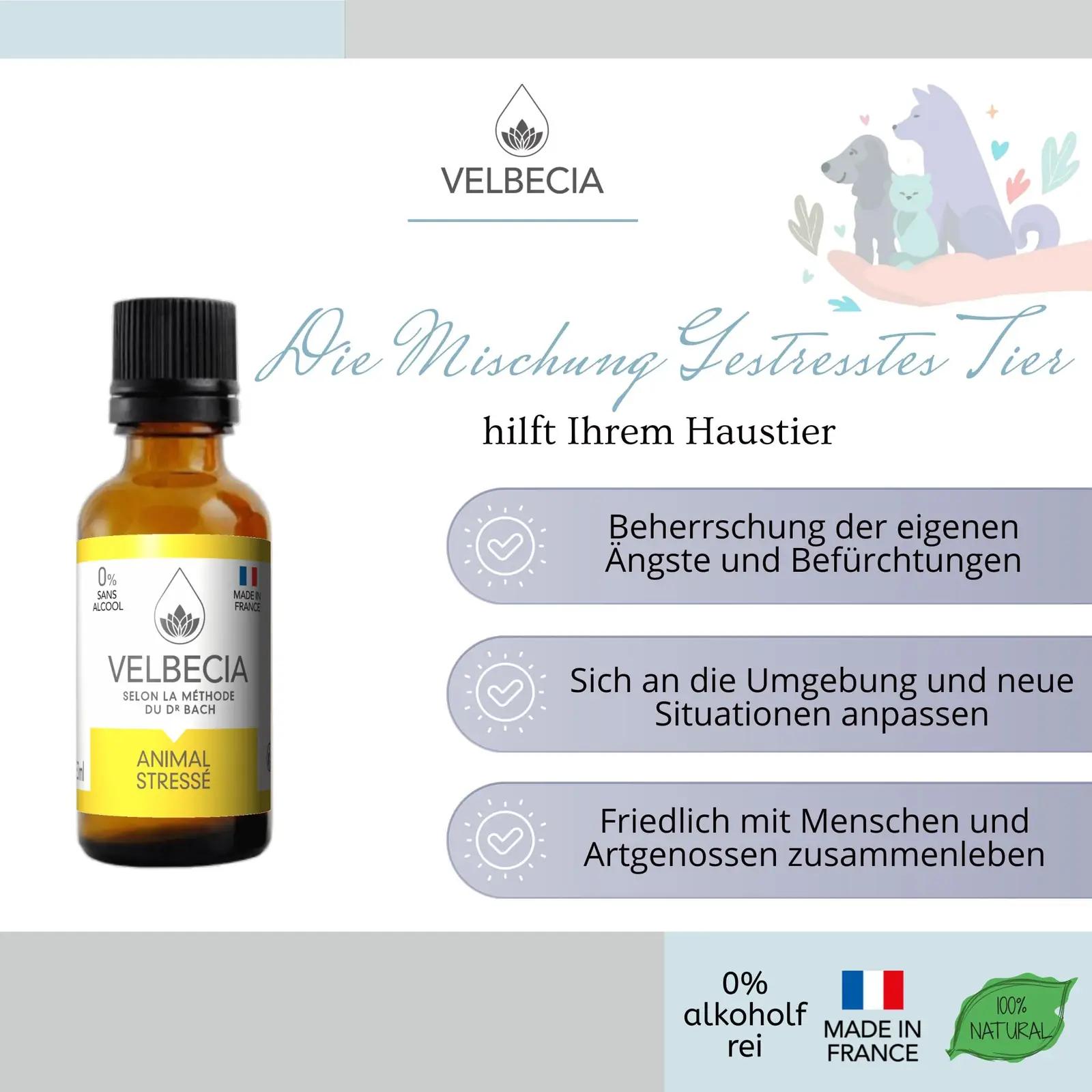 Velbecia stressivastane loomadele – alkoholivaba 50 ml lahendus – kasutusnäide