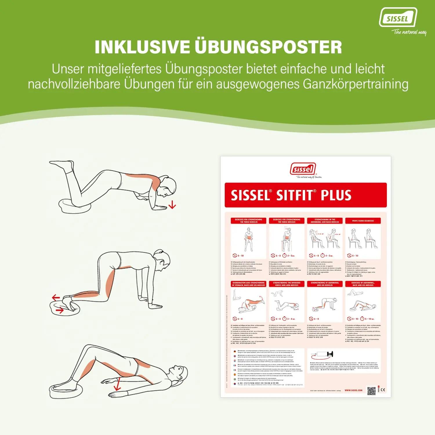 SISSEL tasakaalulaud Sit Fit Plus – mugav koduseks treeninguks – pilt 7