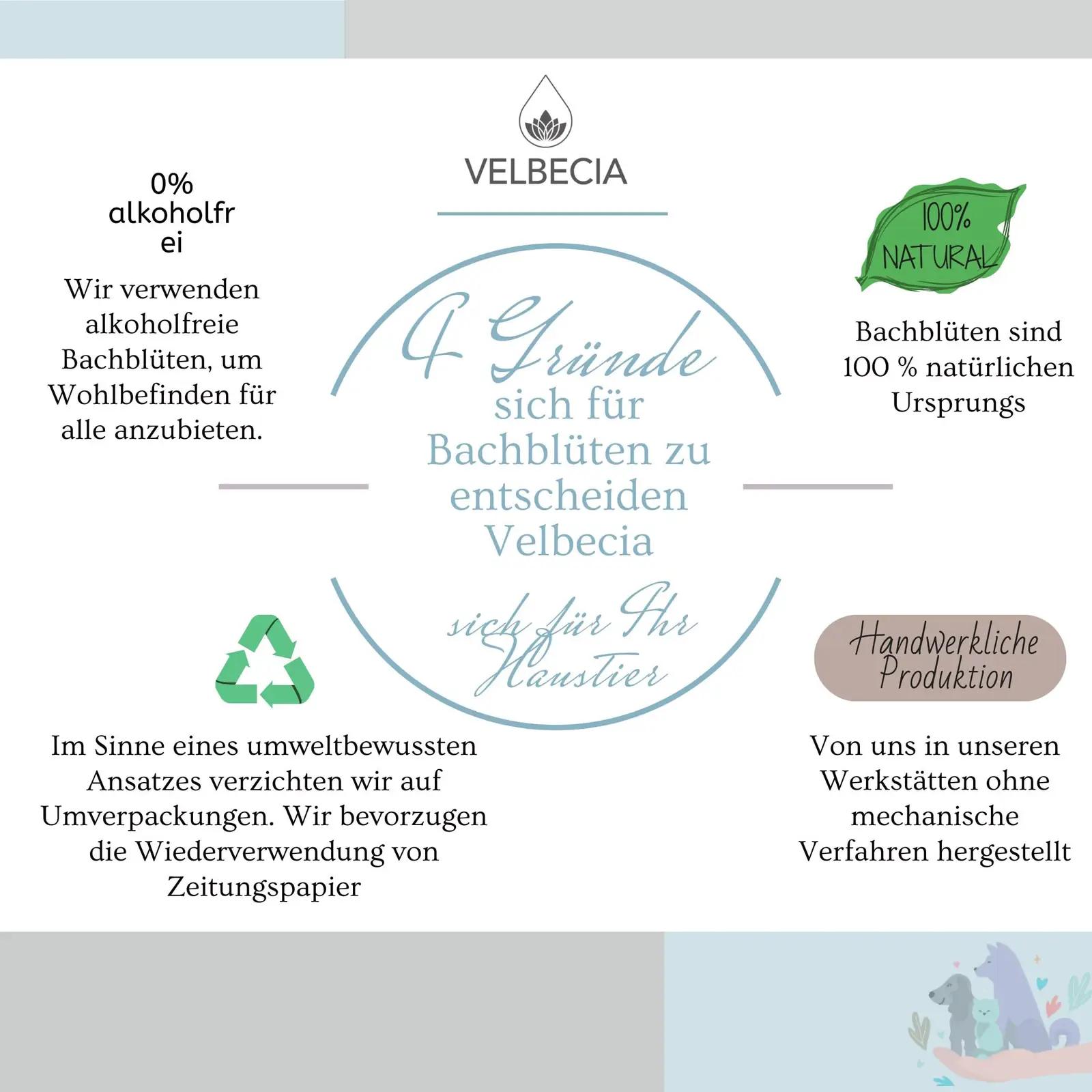 Velbecia stressivastane loomadele – alkoholivaba 50 ml lahendus – pilt 6