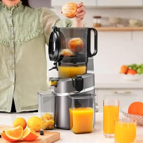 AMZCHEF 250W vastupidav mahlapress – vaikne ja tõhus – pilt 10