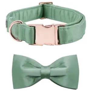 lionet paws lemmikloomad – toote esivaade