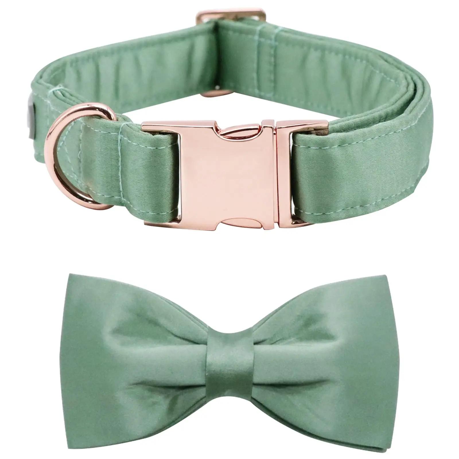 lionet paws lemmikloomad – toote esivaade