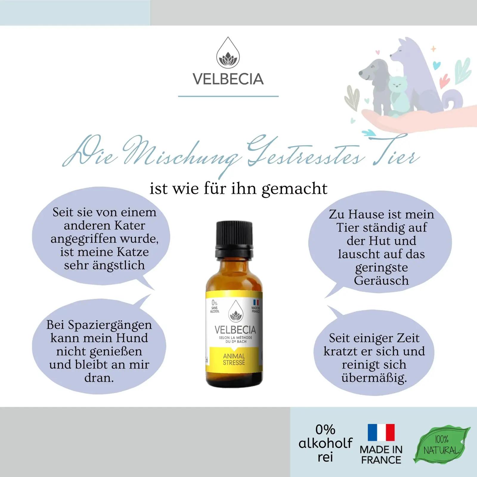 Velbecia stressivastane loomadele – alkoholivaba 50 ml lahendus – lisavaade