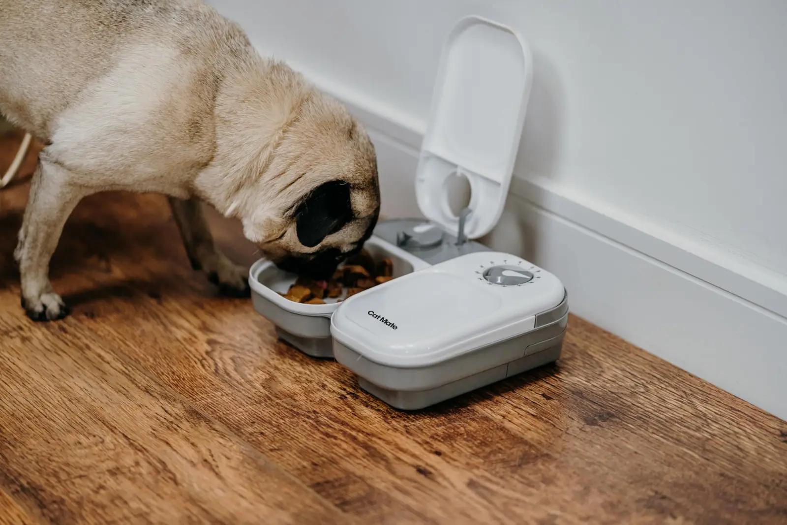 Cat Mate automaatne kahe söögikohaga kuivaruaator — vastupidav – pilt 7