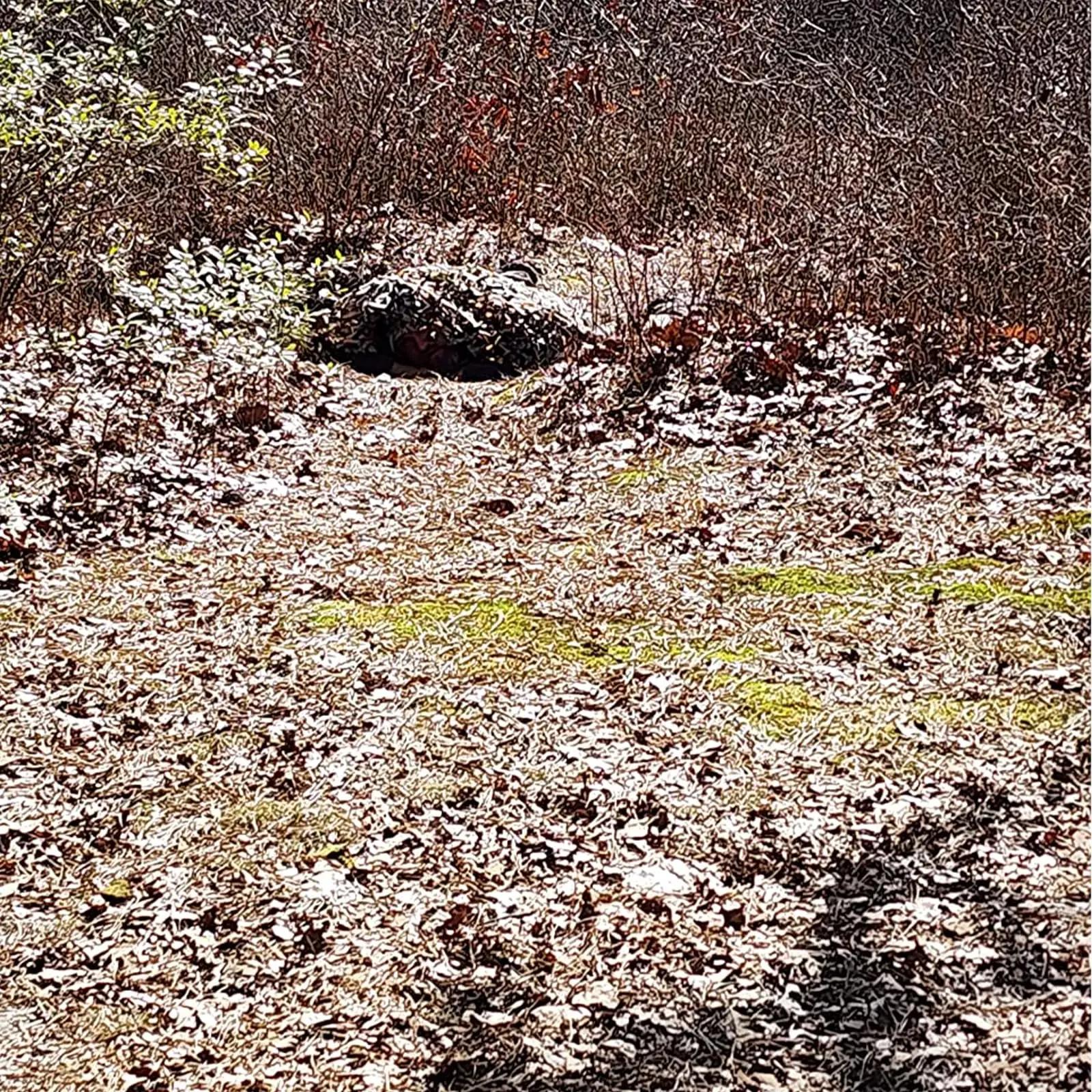 LOOGU camouflage varjekangas – tugev polüester 1.5x20m – pilt 6