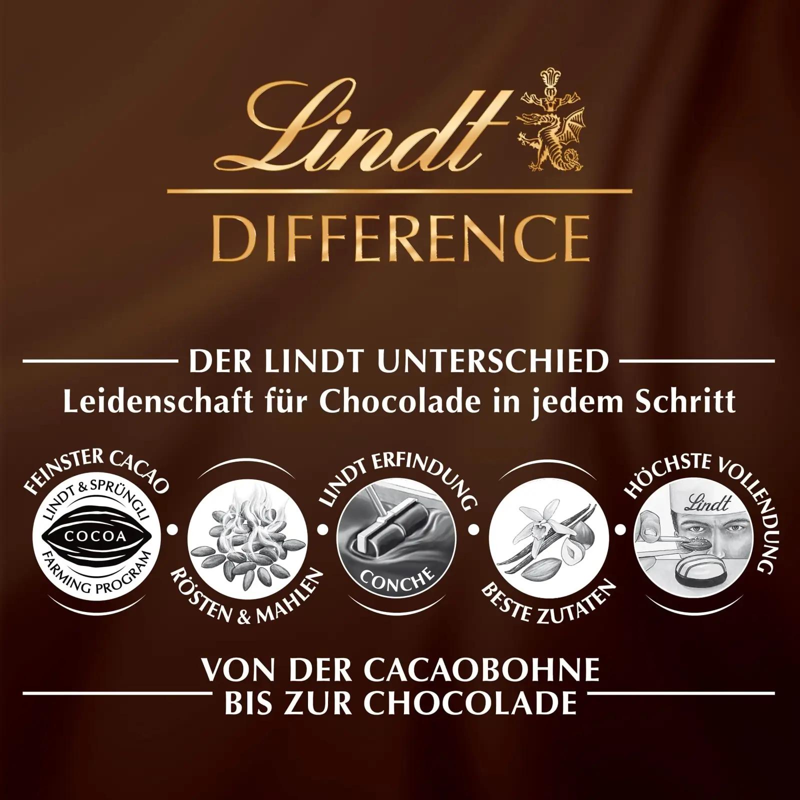 Lindt suurepärane šokolaadikink 1718 g – ideaalne jagamiseks – lisavaade
