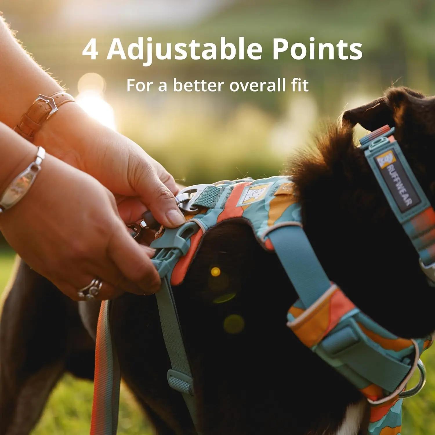 RUFFWEAR mugav ja reguleeritav koera valjaheide – Red Summac – pilt 7