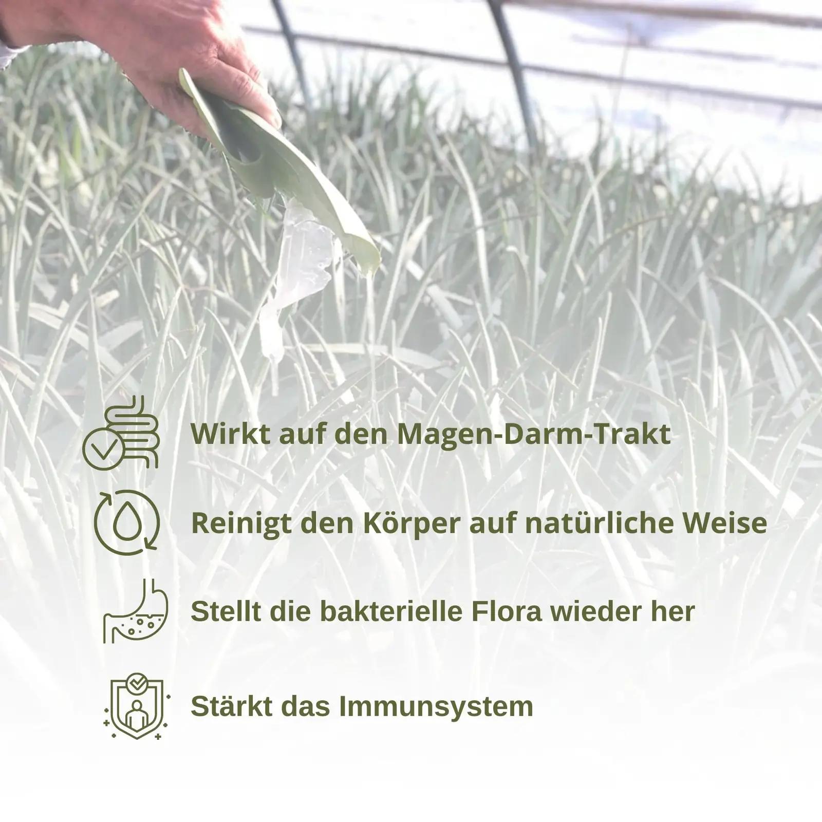 Benessence Aloe Vera mahl 3 L — puhas naturaalse tekstuuriga – pilt 6