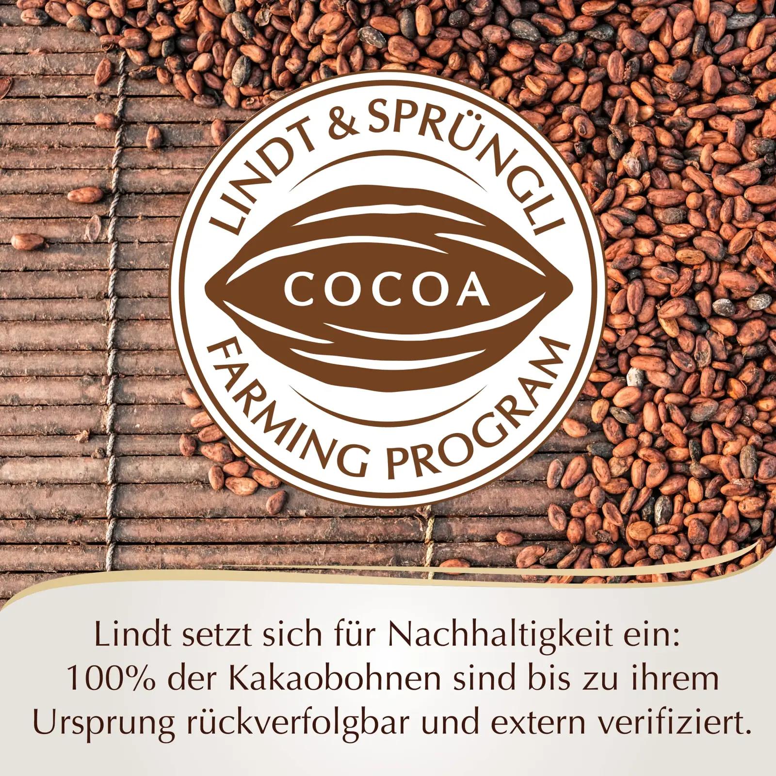 Lindt šokolaadisortiment 477g – elegantne kingiidee – pilt 6
