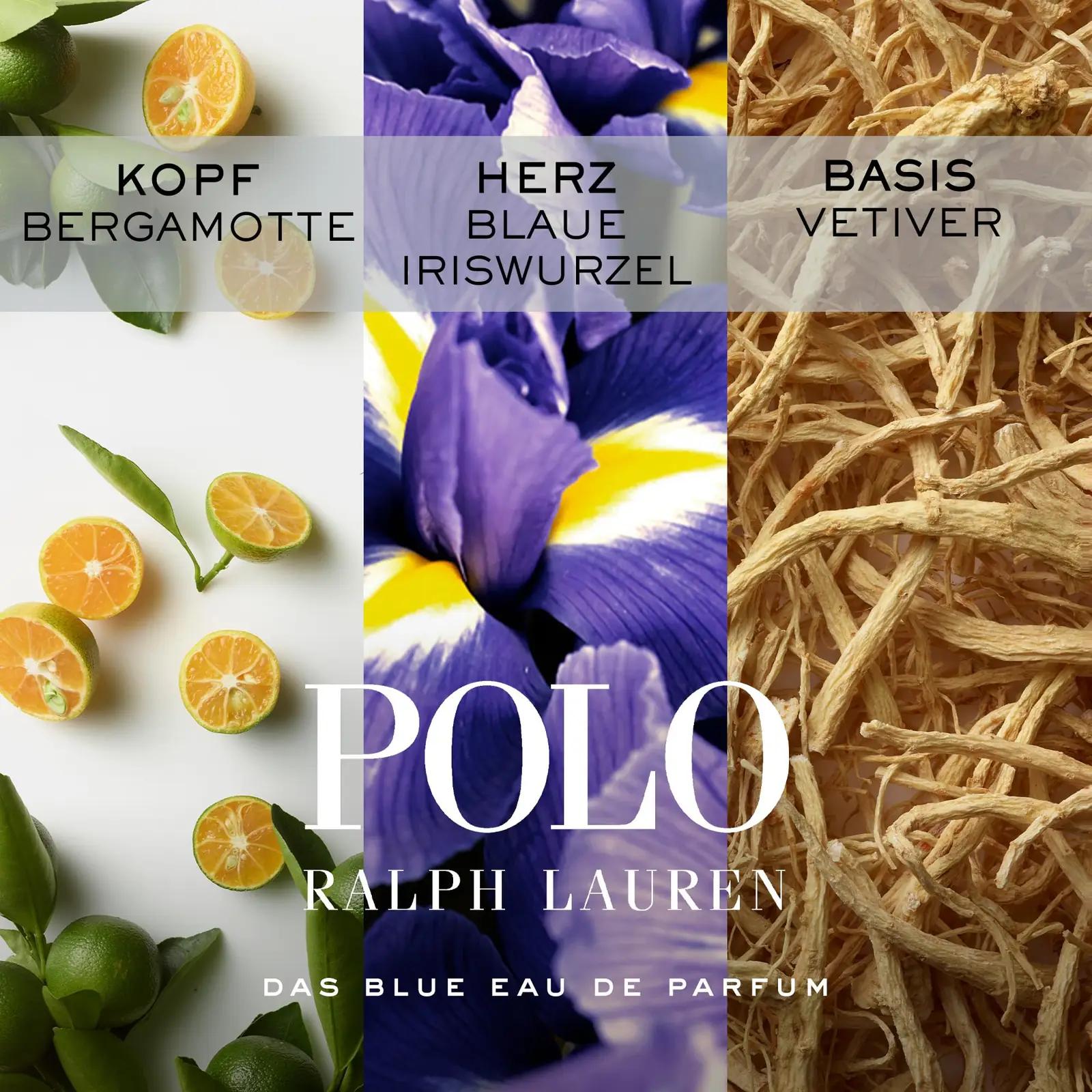 Ralph Lauren meeste parfüüm 125 ml – elegantne ja värskendav – lisavaade
