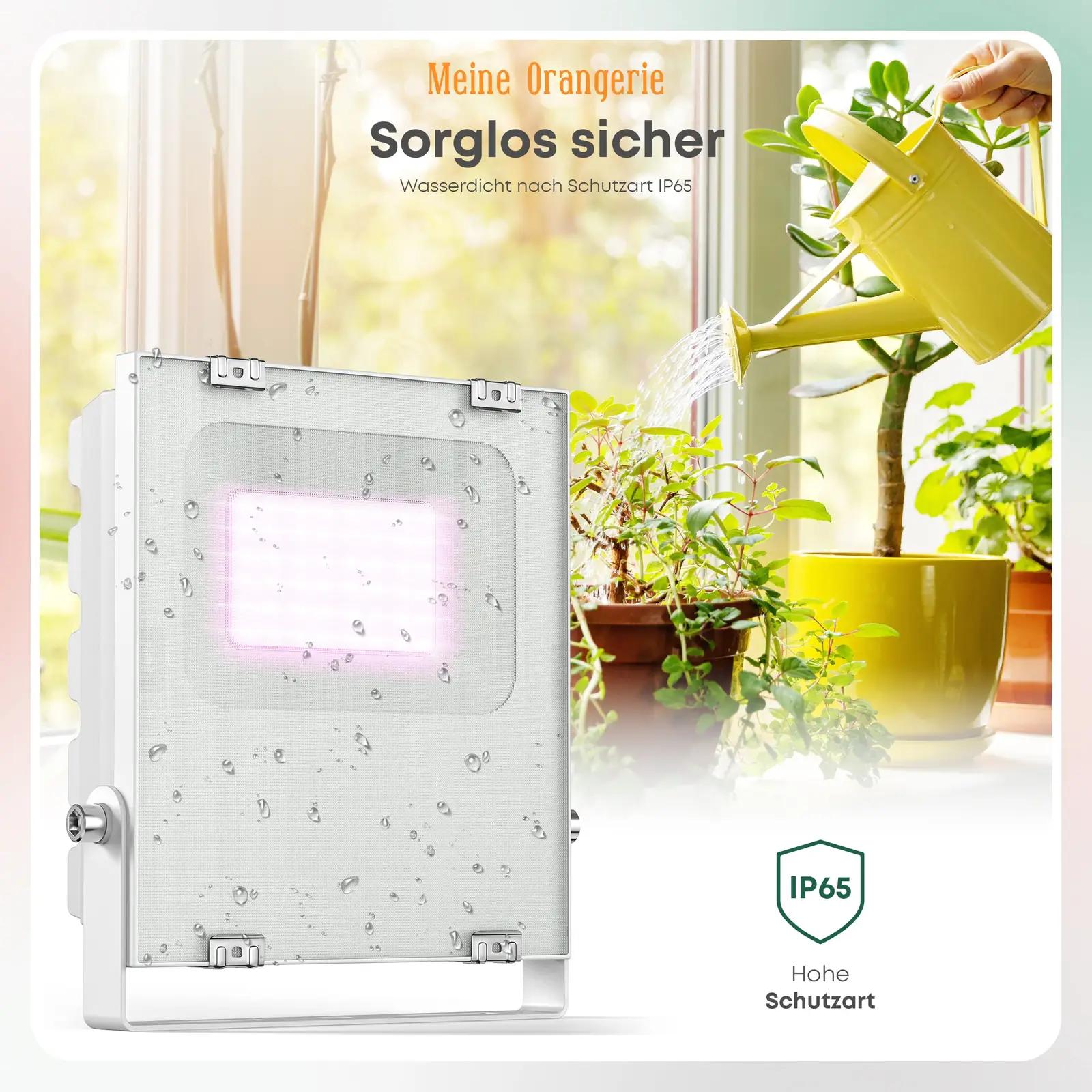 Meine Orangerie energiasäästlik LED-taimevalgusti talveks – pilt 7