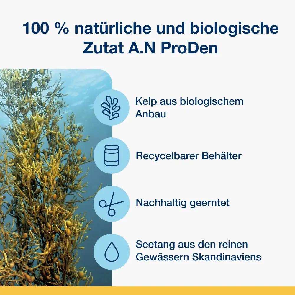 ProDen PlaqueOff algaasipulber 420 g – hammaste hooldus lemmikule – pilt 9