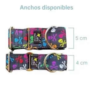 Galguita Amelie 0634438651581 lemmikloomad – detailne lähivaade