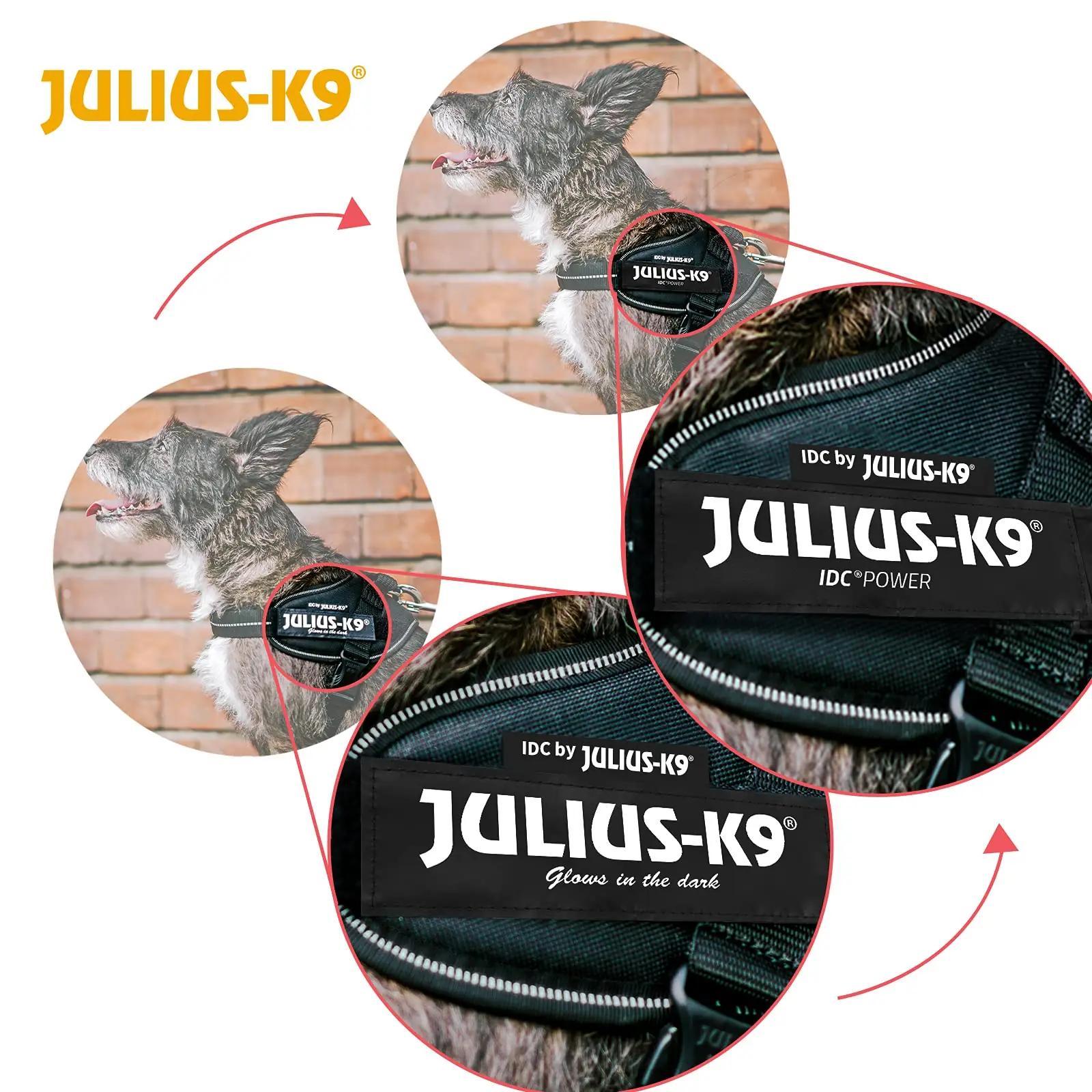 JULIUS K-9 tugev terasest jalutusvalja XL/2 – vastupidav ja ohutu – pilt 7