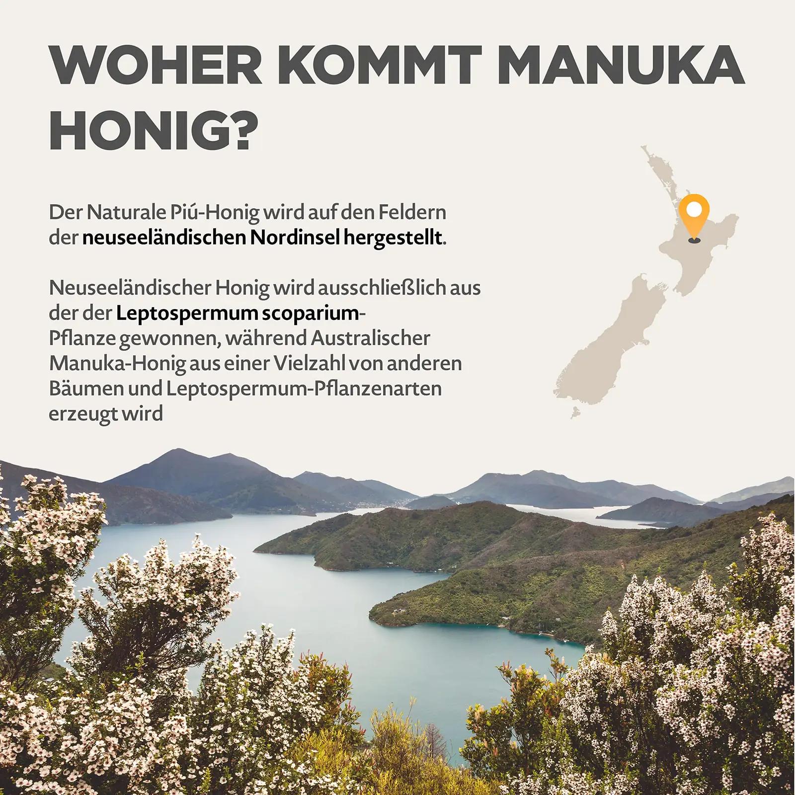 NaturalePiù Manuka-mesi 500+ MGO — looduslik kaitse ja toetus – pilt 6