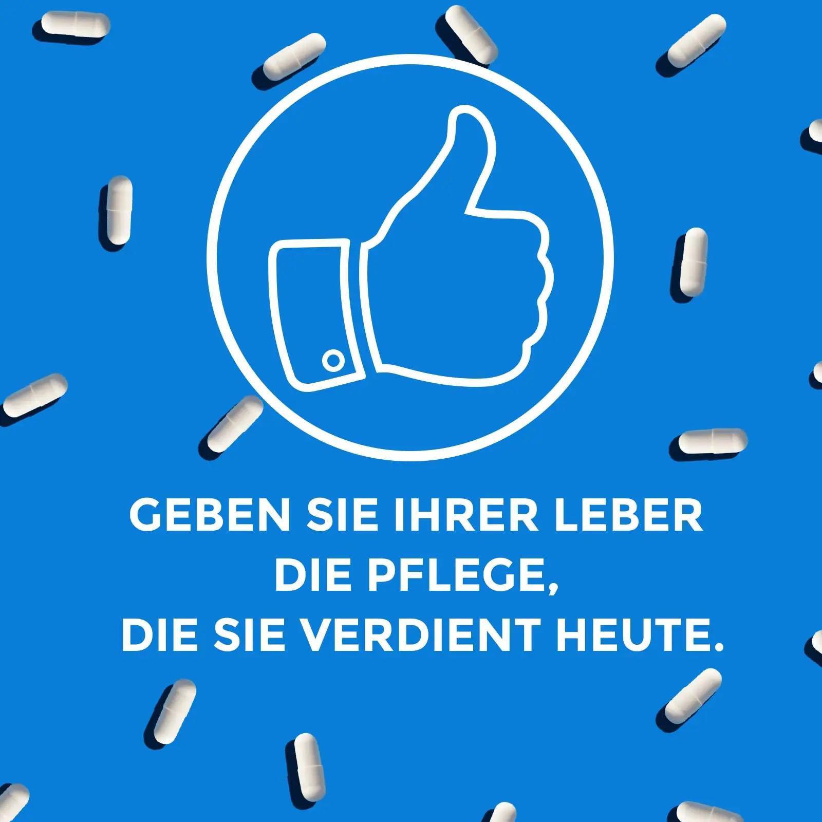 P!nkTribe tugev TUDCA 1200 mg — maksa toetuseks ja detoksiks – pilt 7