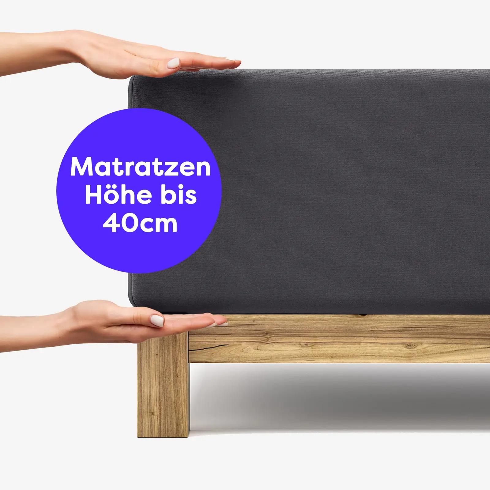 Wolkenfeld pehme Jersey voodilinane 180–200/200–220 cm – pilt 8