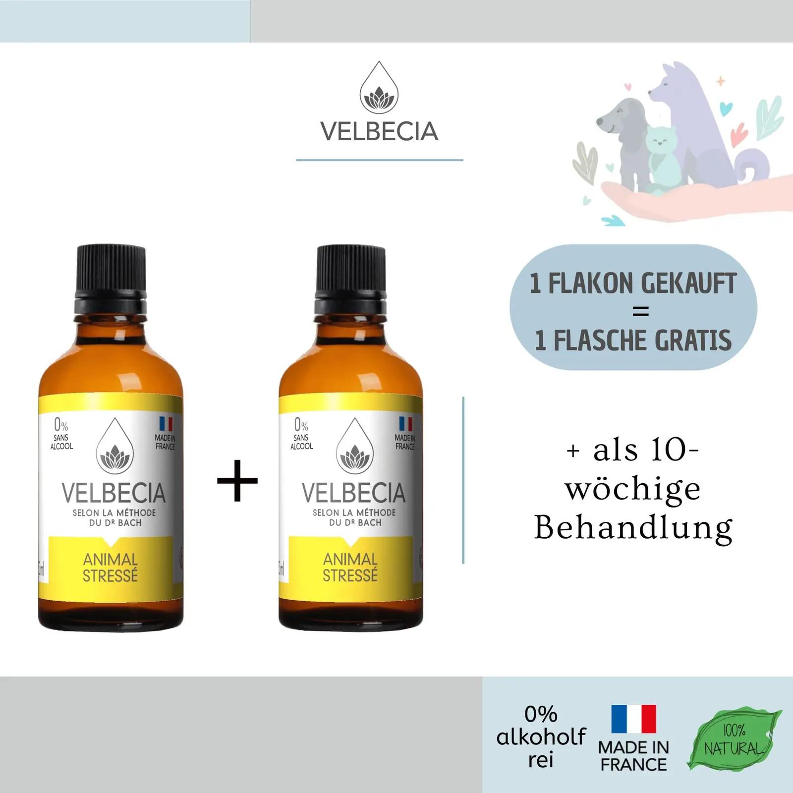 Velbecia stressivastane loomadele – alkoholivaba 50 ml lahendus – pakend ja tarvikud