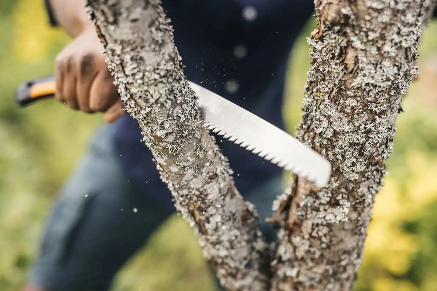 Fiskars vastupidav klappsäge – terav 21 cm tera aednikele – pilt 8