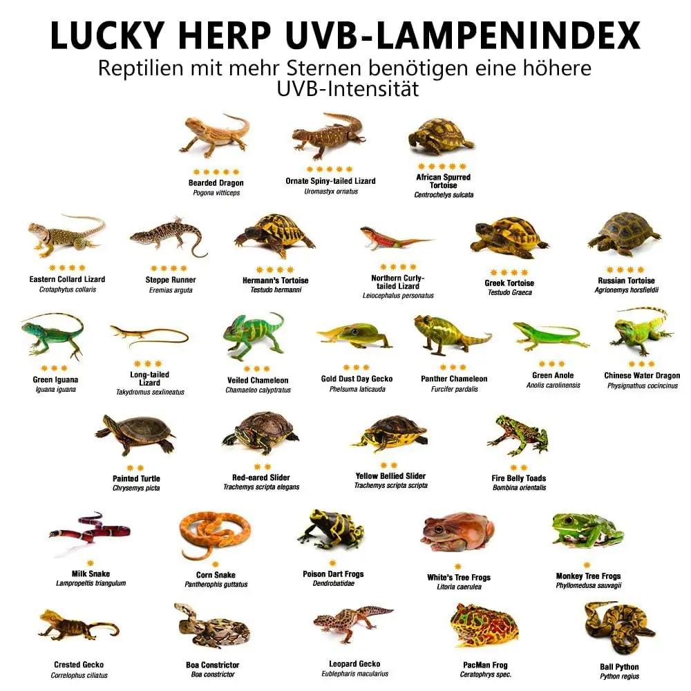 LUCKY HERP UV-A/UV-B klaasist terrarium soojalamp 125W – pilt 7