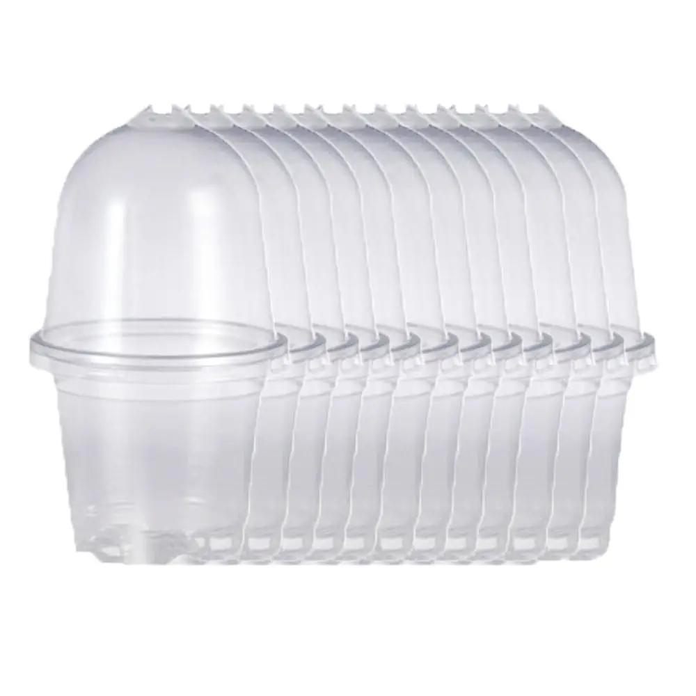 TopHomer QSN-GM-231124A3 potid – toote esivaade