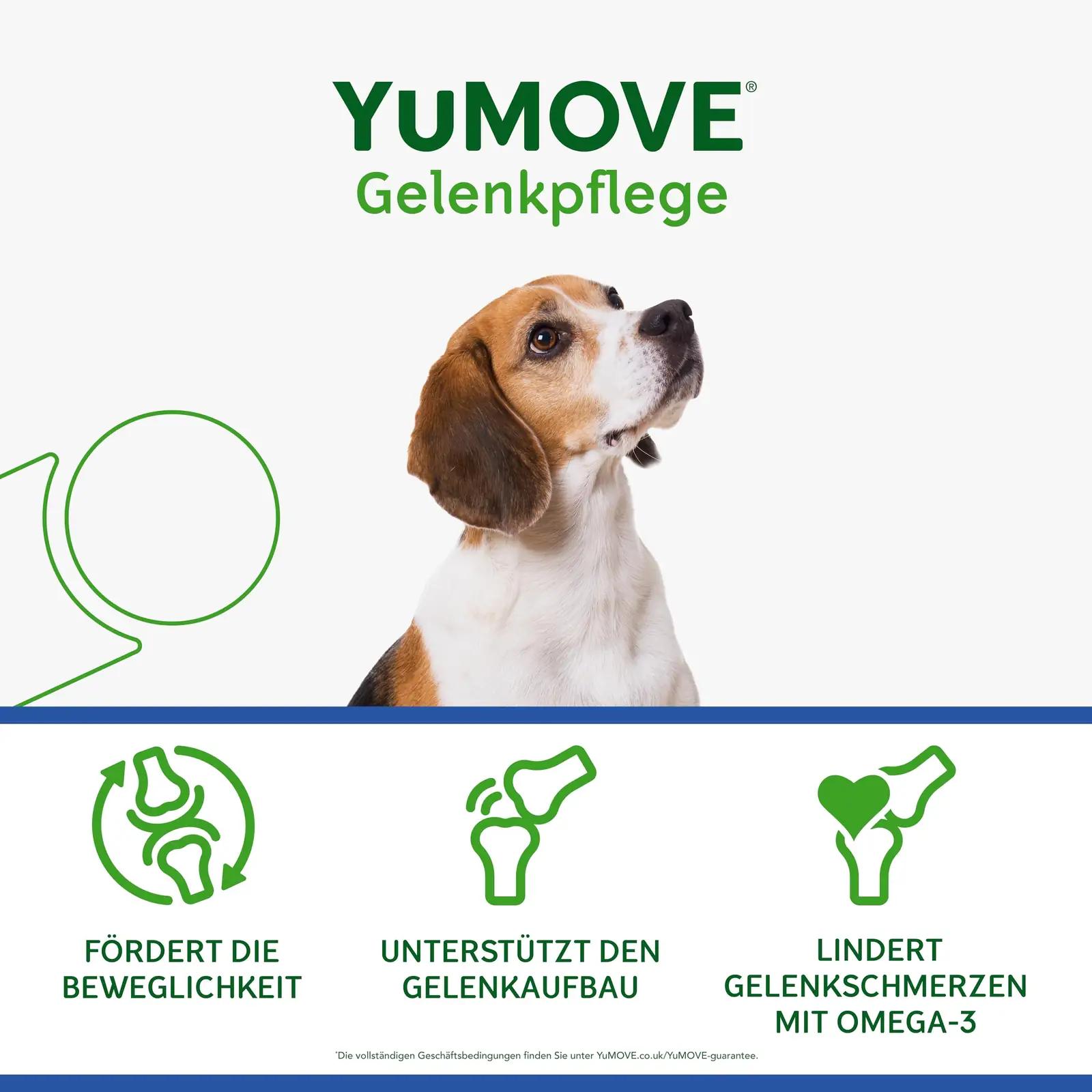 YuMOVE toetav liigeste toidulisand koertele – Grünlippmuschel 120 – kasutusnäide