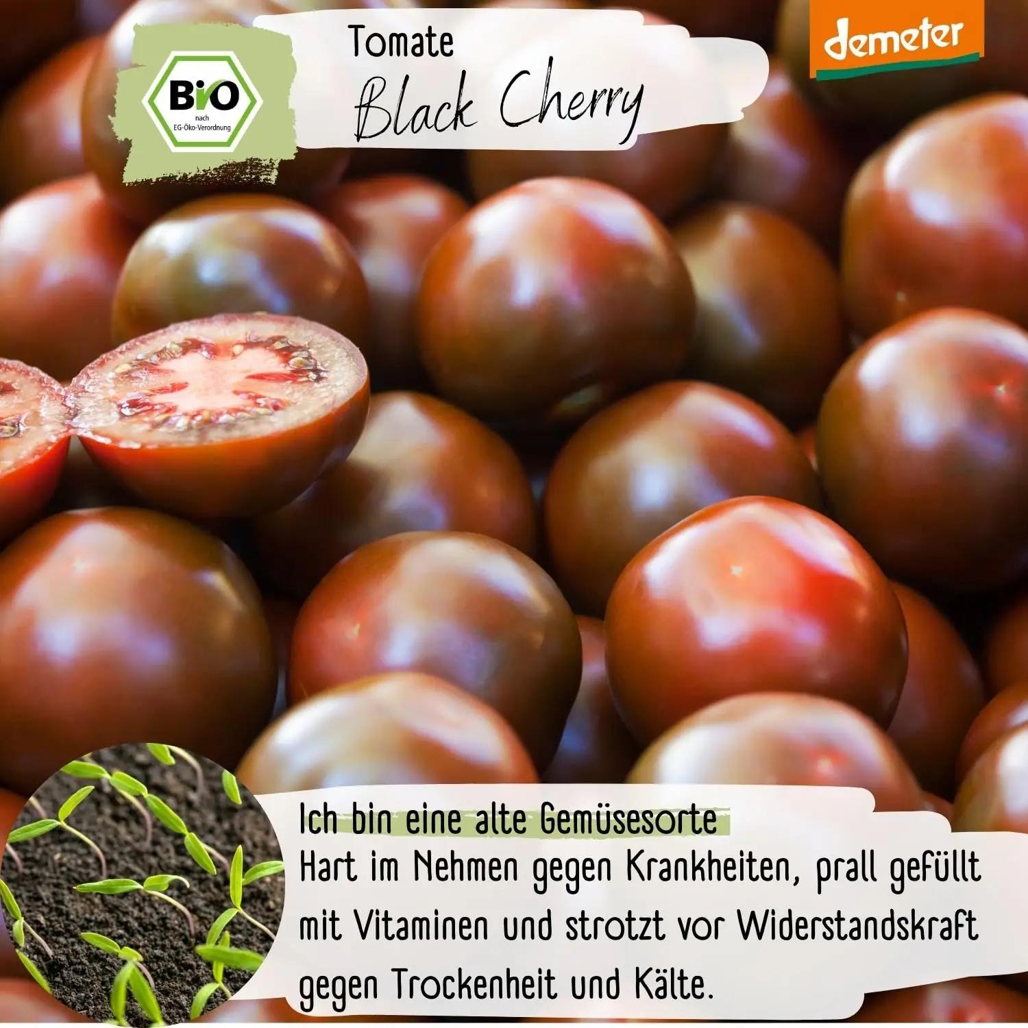 Loveplants Demeter mustad Black Cherry tomatisemned – kasutusnäide