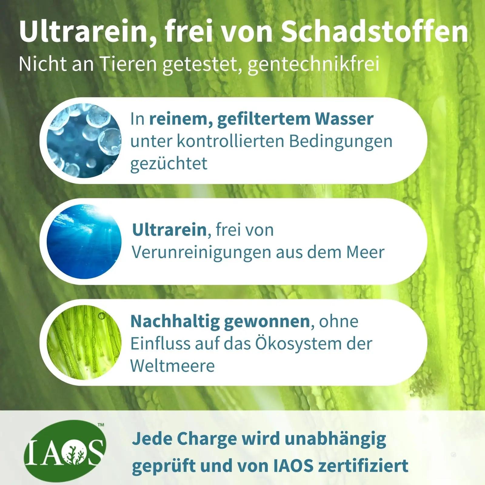 Igennus Healthcare Nutrition Igennus vegan Omega-3 algaõli — aju – kasutusnäide