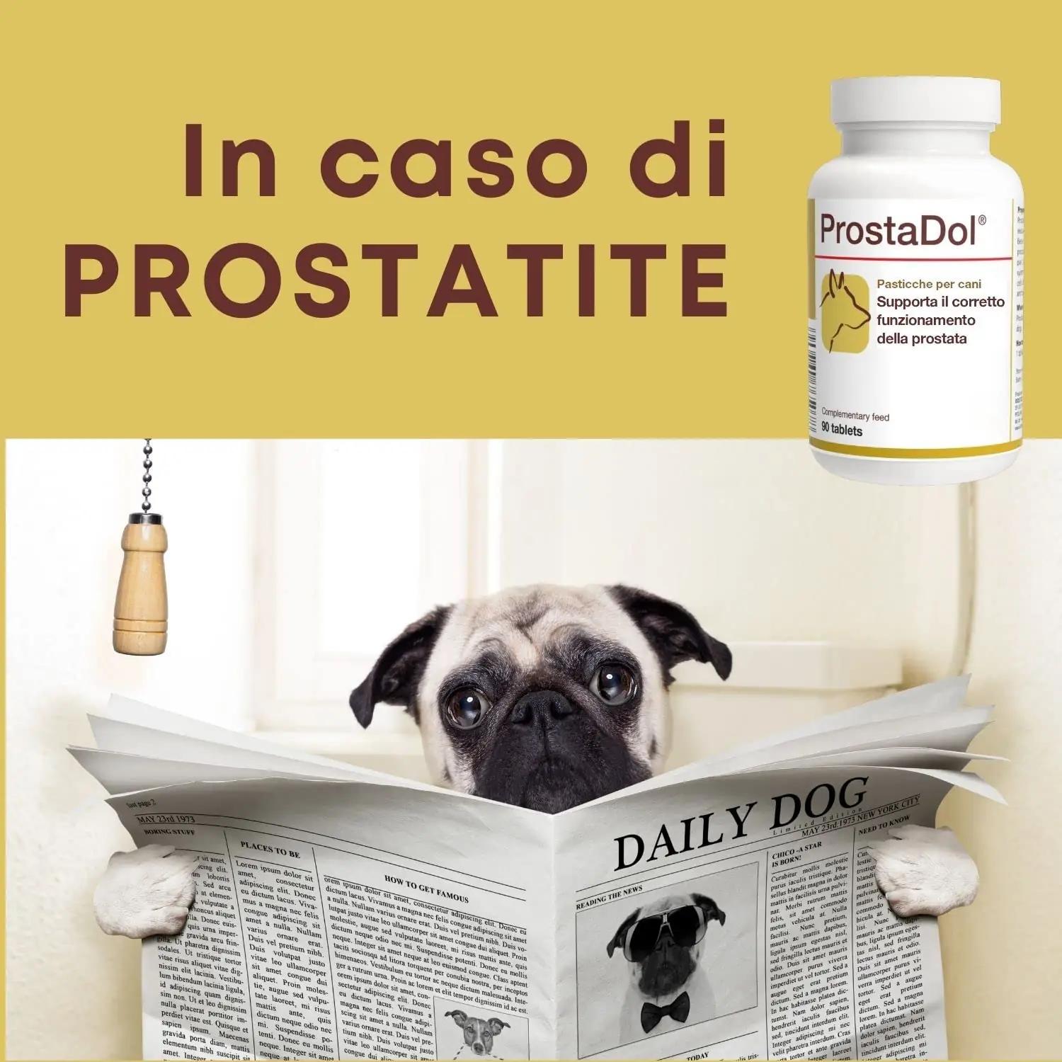 DOLFOS PETS lõõgastav prostato- ja kuseteede toidulisand koertele – lisavaade