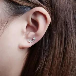 limerencia piercingud – detailne lähivaade