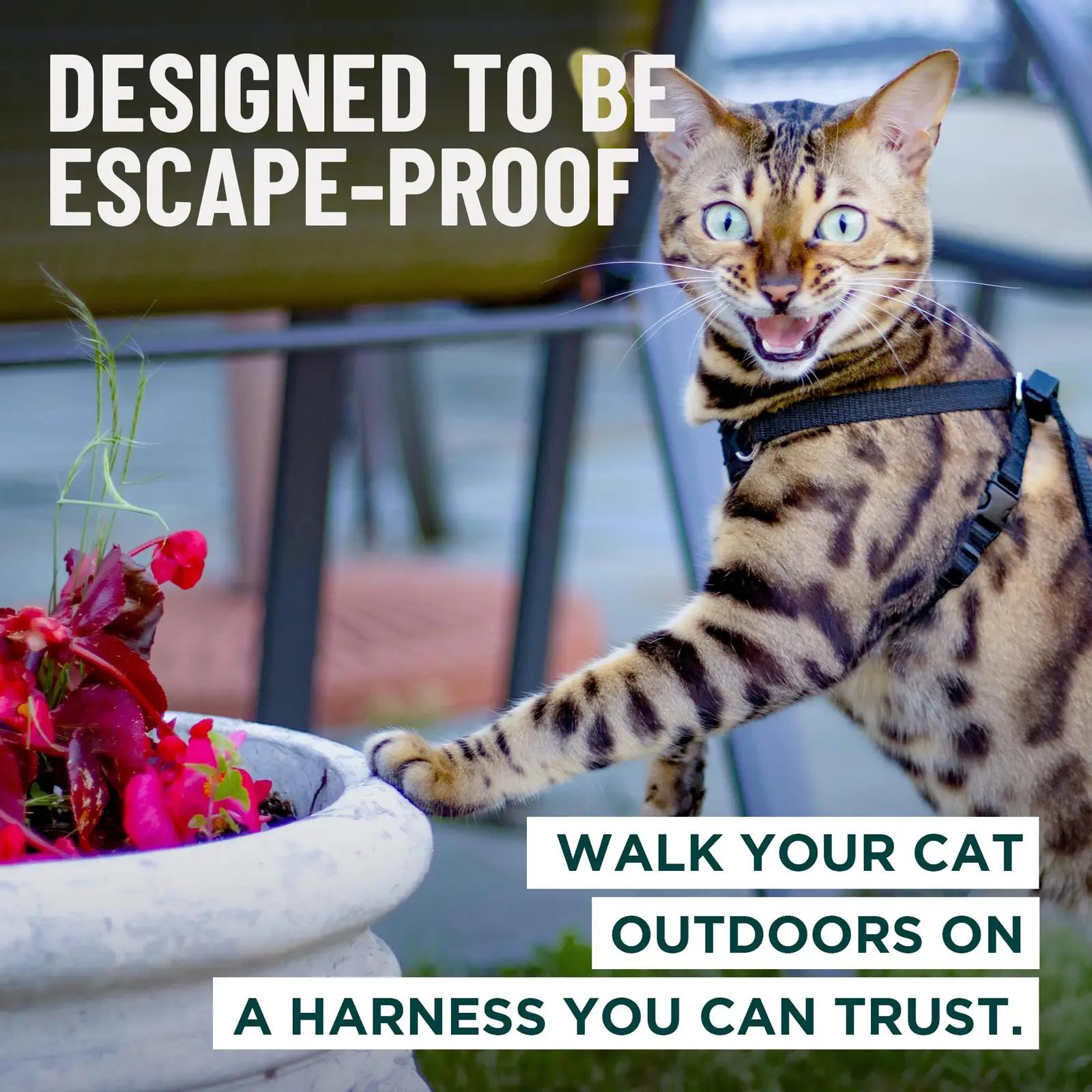 OutdoorBengal Large Cat Harness loomatarbed – detailne lähivaade