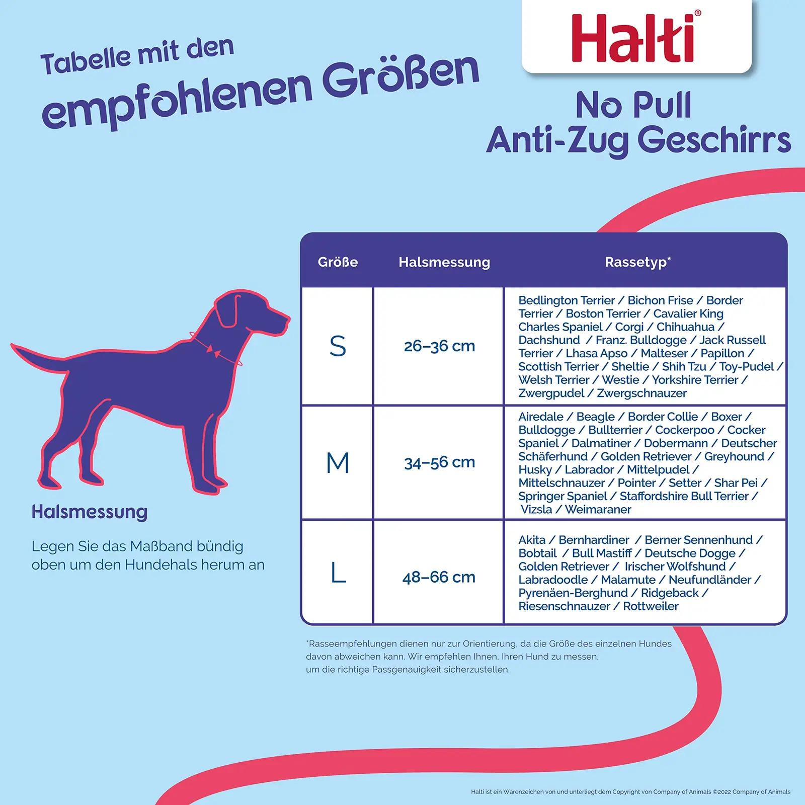 Halti mugav takistav koera valjakuulutav rakmed — L suurus – pakend ja tarvikud