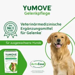 YuMOVE YM120 liiges- ja luukaitse – detailne lähivaade