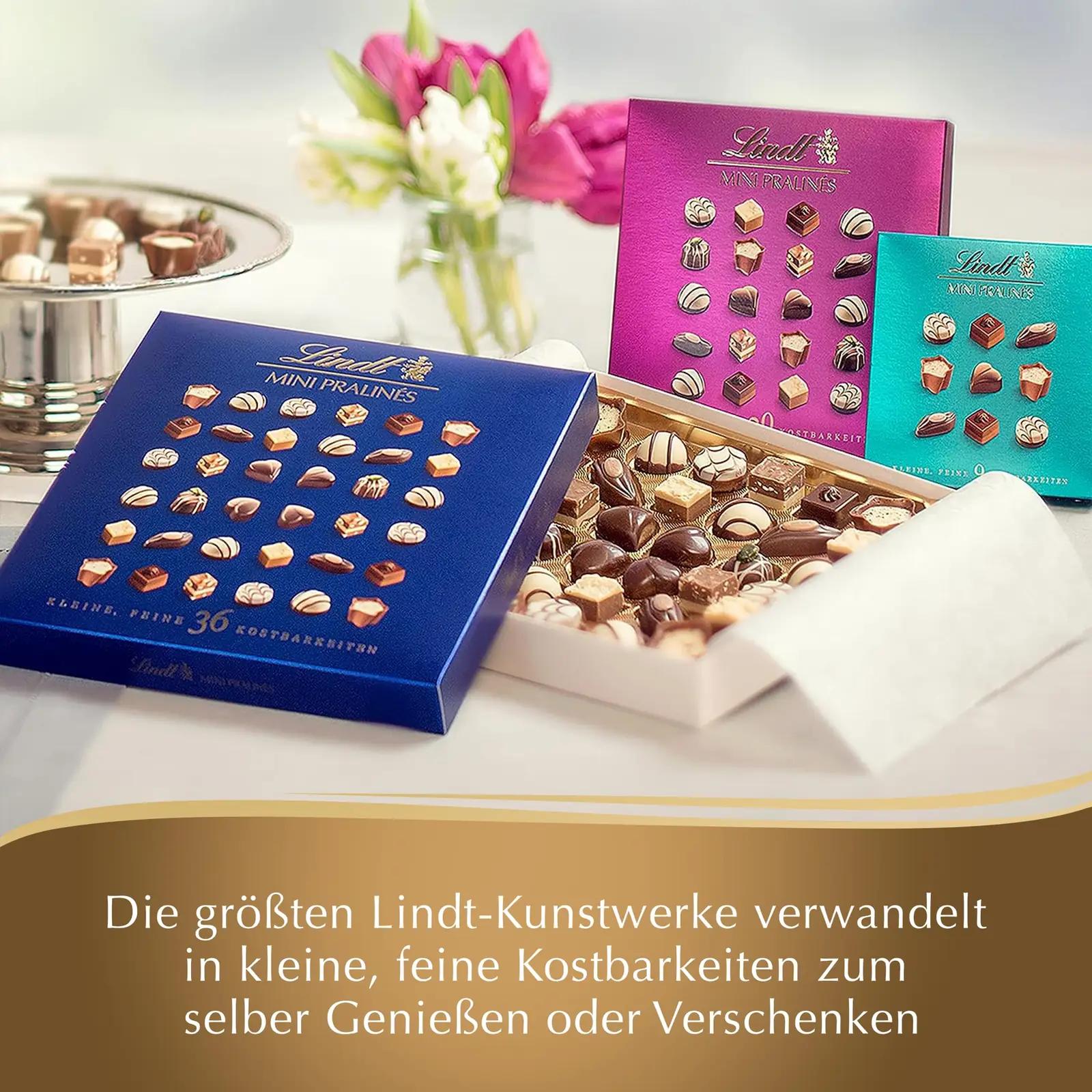 Lindt šokolaadikarp — elegantne praliinigift 12×100 g – pilt 6