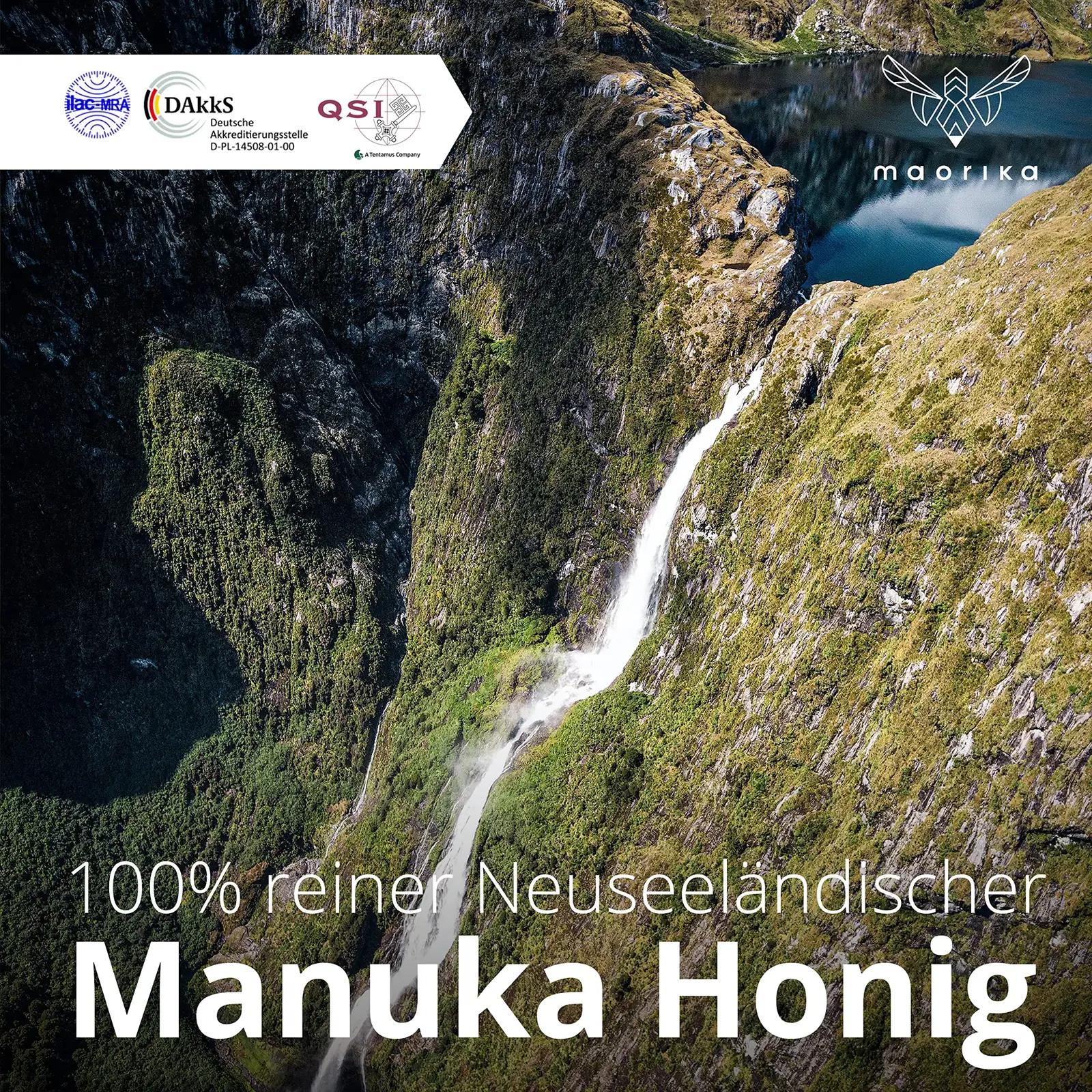 maorika Manuka mesi 400 MGO 500 g klaaspurgis — naturaalne ja – pilt 7