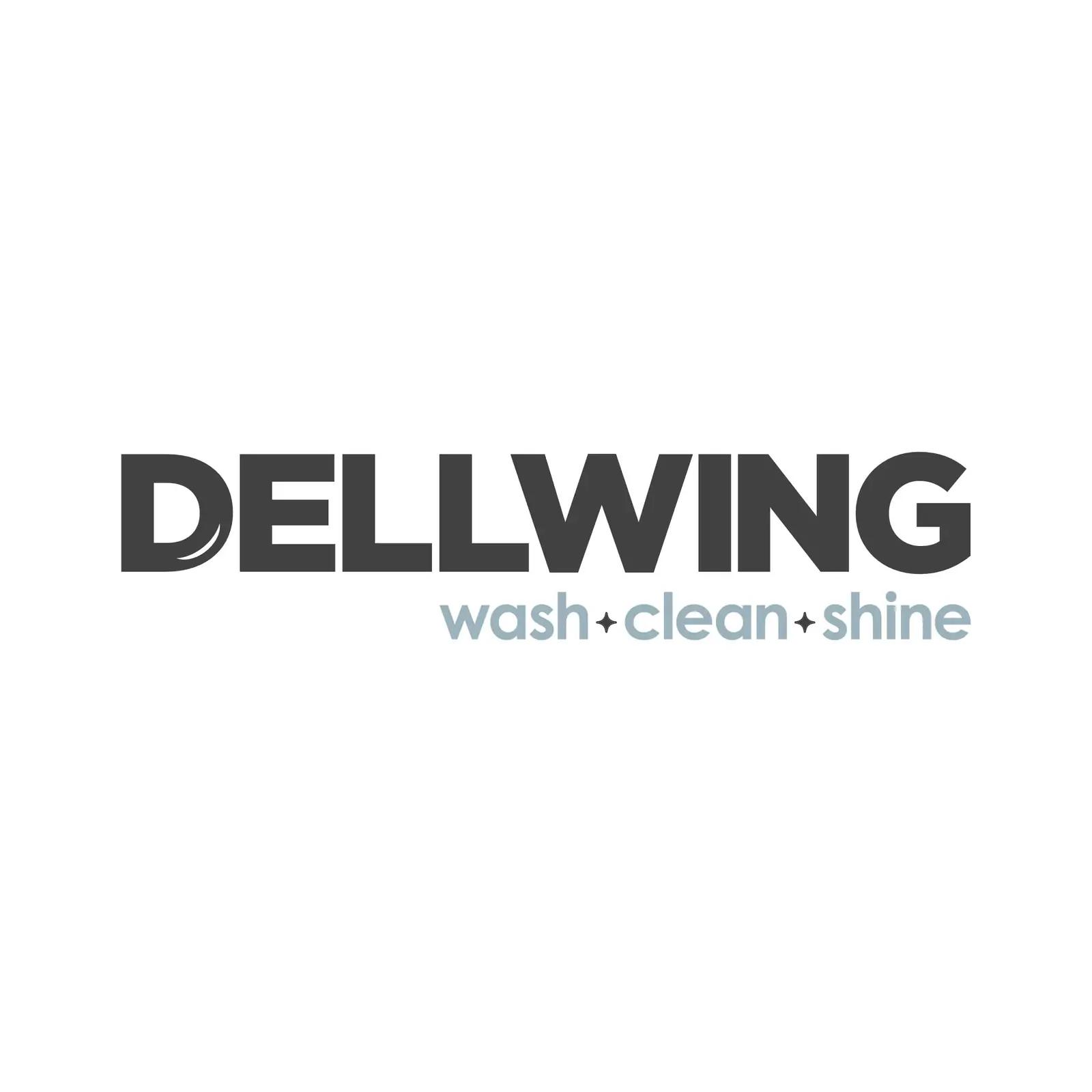 DELLWING tugevpuhastusvedelik mootoriosadele 2,5 l – lisavaade
