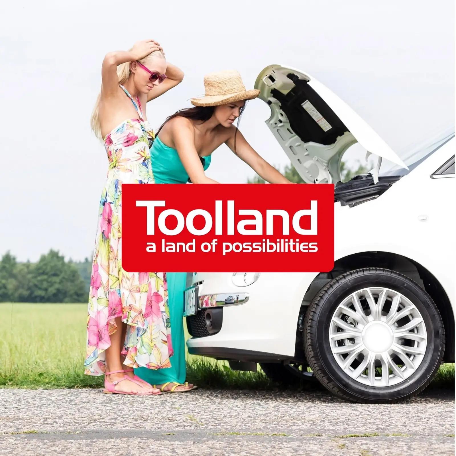 Toolland a land of possibilities Toolland autoakulaadija 12/24V – pilt 7