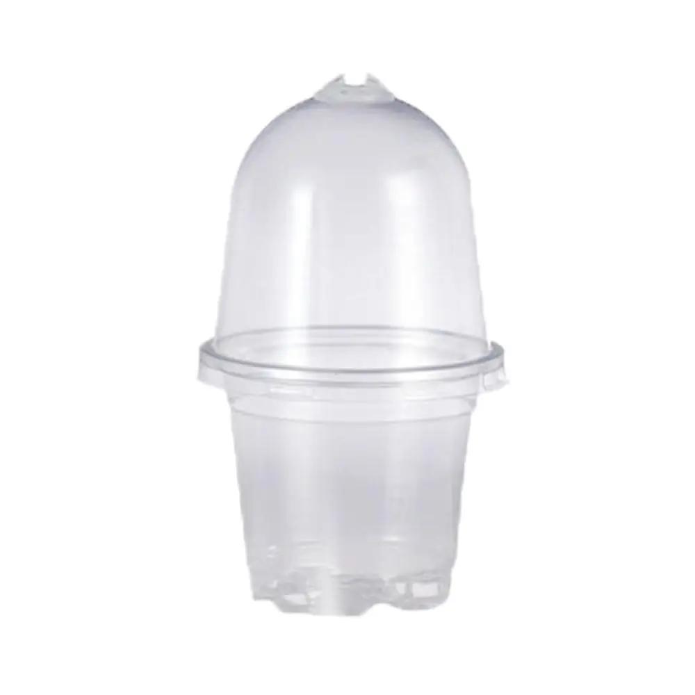 TopHomer QSN-GM-231124A3 potid – detailne lähivaade