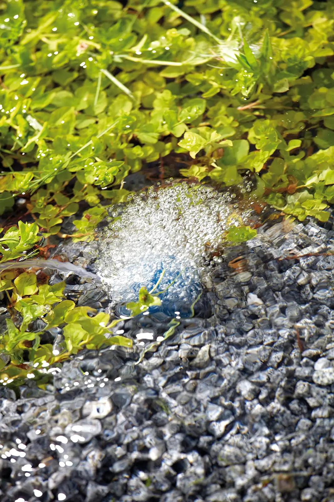Oase 57063 aeratsioonikomplektid – detailne lähivaade