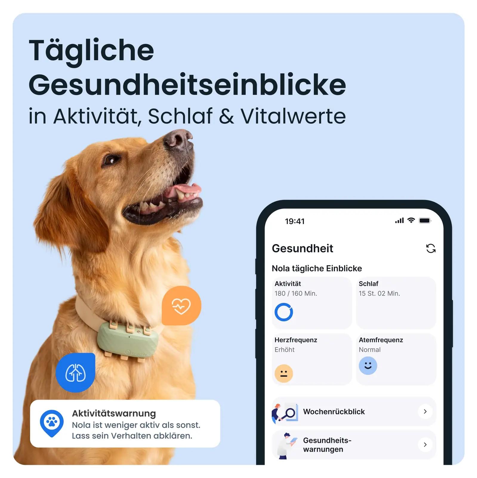 Tractive tugev plastikust GPS-tracker koertele – pikk aku – pakend ja tarvikud