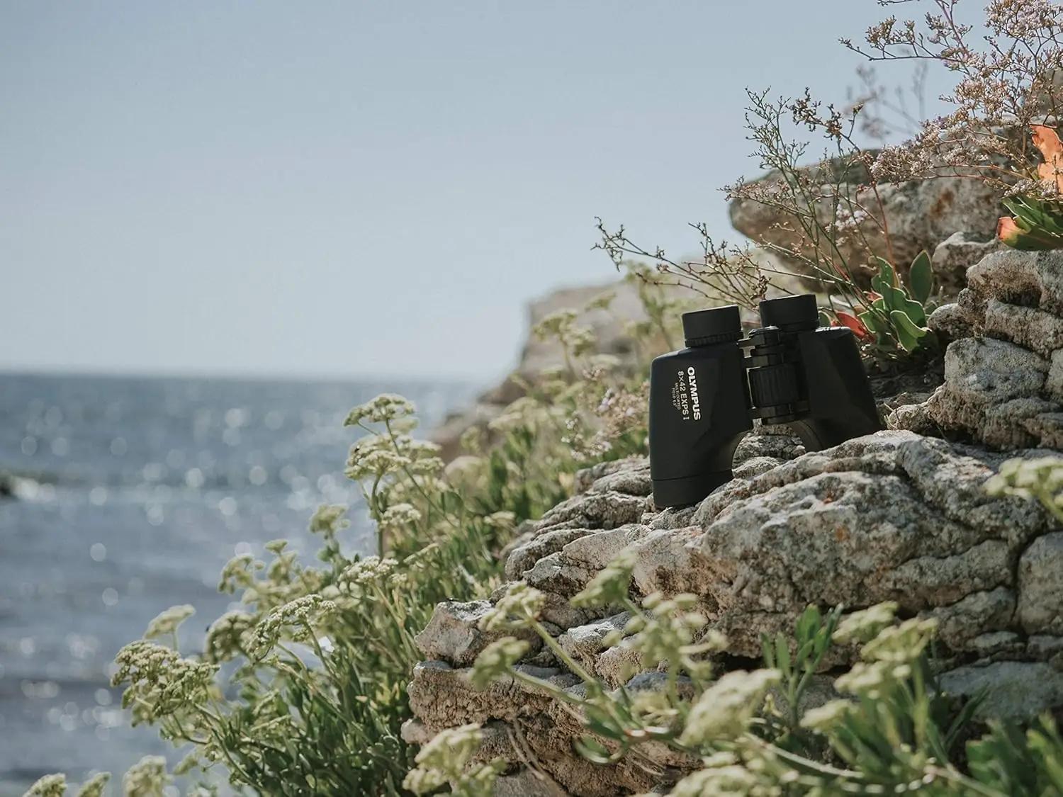 Olympus kvaliteetsed 8×42 binoklid – ergonoomiline loodusvaatlus – kasutusnäide