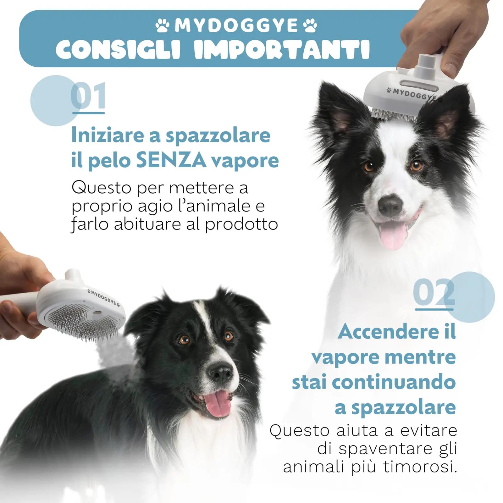 MYDOGGYE harjad – detailne lähivaade