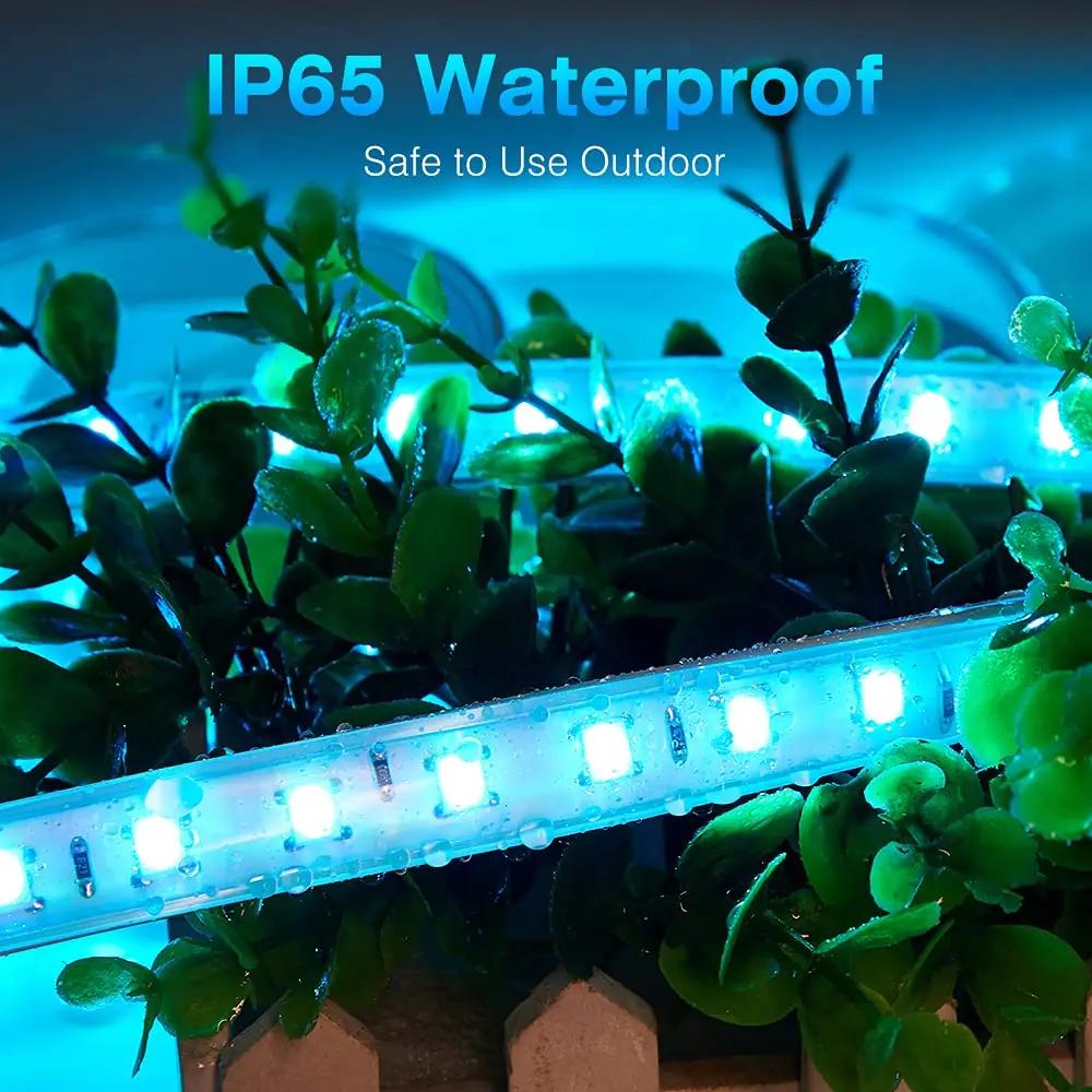GreenSun RGB 30 m LED riba — veekindel dekoratsioon kingituseks – kasutusnäide