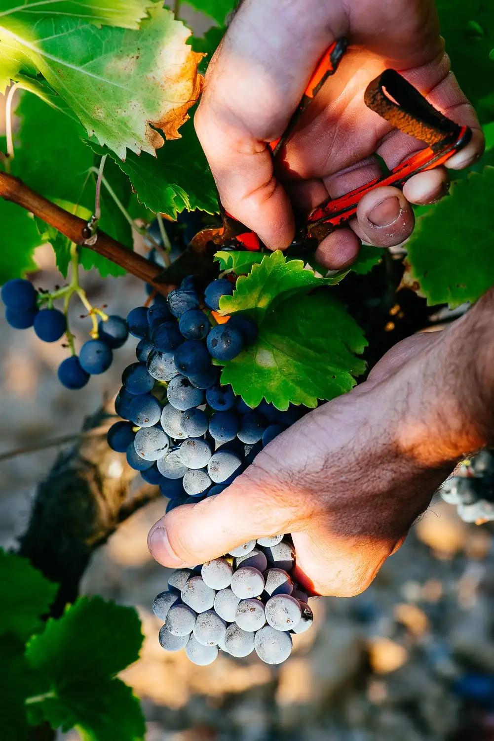 La Grande Vinothèque Bordeaux kinkekarp – punane vein 3×750ml – lisavaade